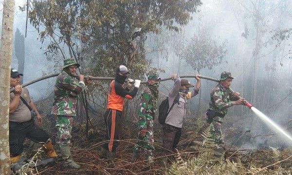 Hutan Lindung Giam Siak Kecil Terbakar, Tim Gabungan Kesulitan Padamkan Api