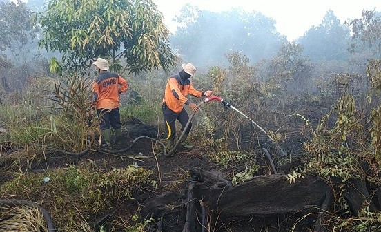 Tiga Pekan Terakhir, 2,45 Hektare Lahan Terbakar di Pekanbaru