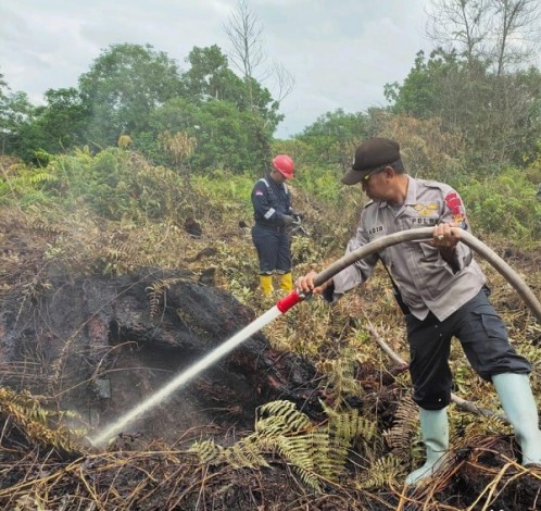 2 Hektare Lahan di Payung Sekaki Pekanbaru Terbakar, Tim Lakukan Pendinginan