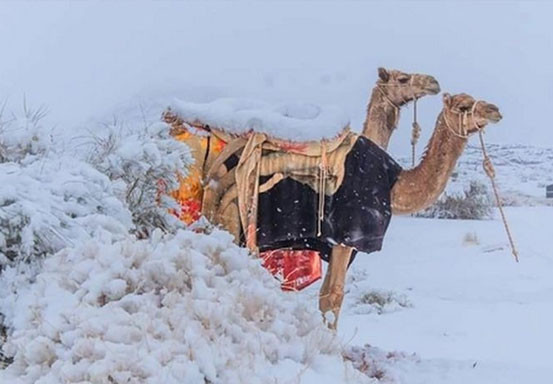 Gurun Sahara hingga Padang Pasir di Arab Saudi Diselimuti Salju, Fenomena Apa?