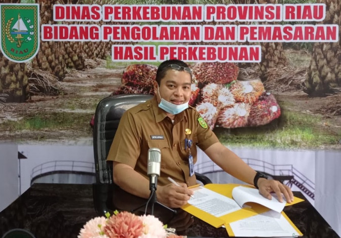 Harga TBS Kelapa Sawit di Riau Naik Lagi, Tembus Rp2.303 Perkilogram