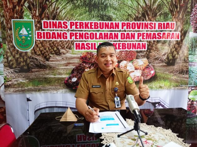 Harga Sawit di Riau Naik Lagi, Tembus Rp3.470 Perkilogram