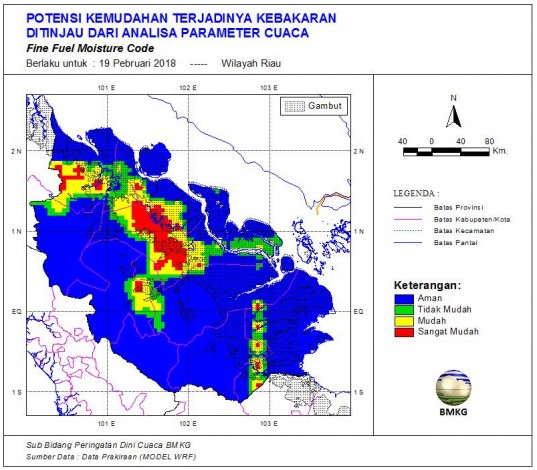 Hari Ini Pemprov Riau Tetapkan Status Siaga Darurat Karlahut