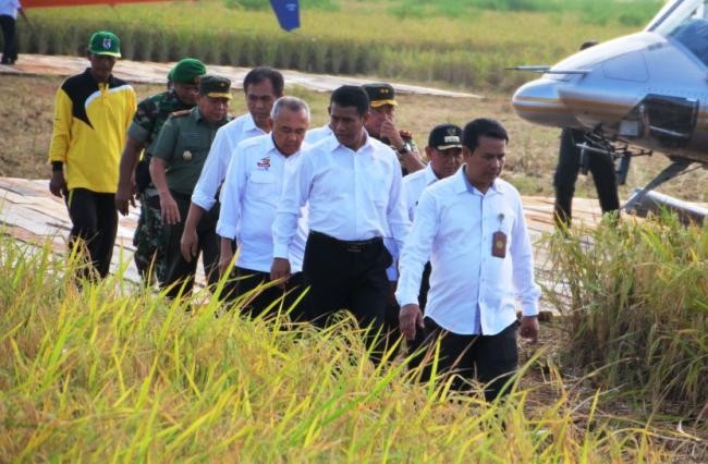 RTRW Gak Jelas, 110 Ribu Hektare Lahan Pertanian di Riau Belum Bisa Digarap