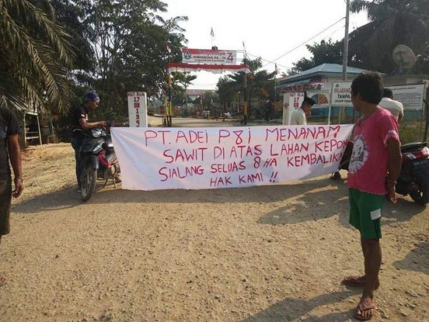 Akses Pintu Masuk PT Adei Plantation di Pelalawan Diblokir Sekelompok Massa