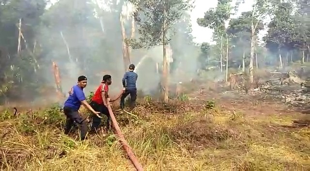 Diduga Disengaja, 1 Hektare Lahan di Rambah Terbakar