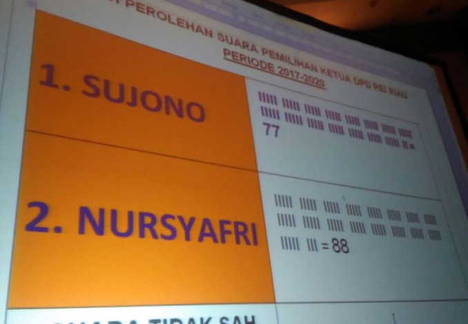 Nursyafri Tanjung Pimpin REI Riau 2017-2020
