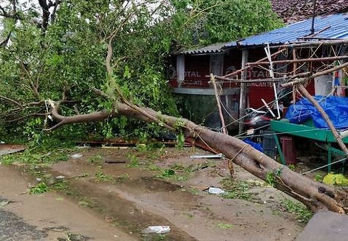 Badai Gaja Tewaskan 33 Orang di India Tenggara, Ratusan Ribu Warga Mengungsi