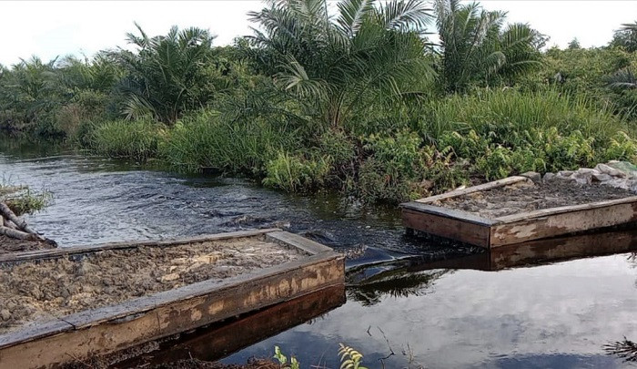 Gara-gara Pembangunan Kanal Bloking BRG Tanpa Izin, Kebun Warga Riau Terendam Banjir