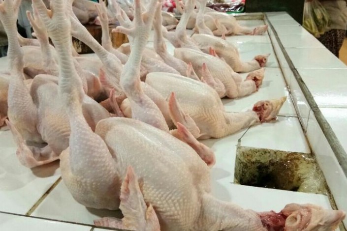 Turun Drastis, Harga Ayam Ras di Pekanbaru Rp20.000 Perkilogram
