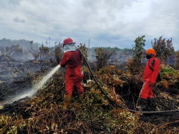 Pemilik Belum Diketahui, Tiga Hektare Lahan Gambut di Siak Terbakar
