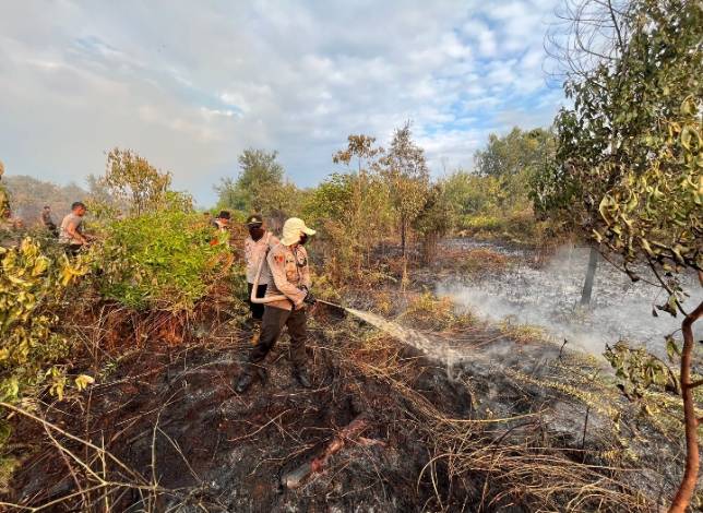 Tim Satgas Karhutla Riau Kesulitan Padamkan Kebakaran di Bengkalis