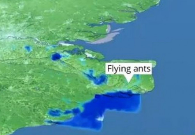 Radar Inggris Tertipu, Kawanan Semut Terbang Disangka Hujan