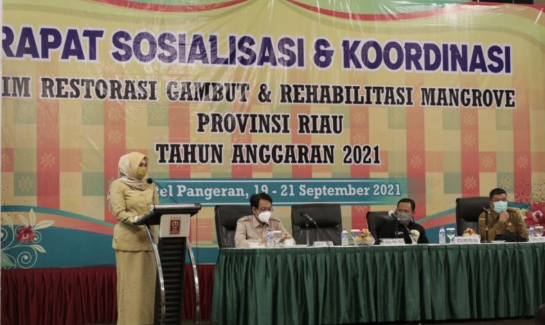 Antisipasi Bencana Alam, BRGM Bantu Restorasi Gambut dan Rehabilitasi Mangrove di Riau