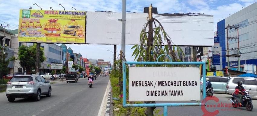 Polisi Panggil Pemilik Reklame Terkait Pemotongan Pohon di Jalan Tuanku Tambusai