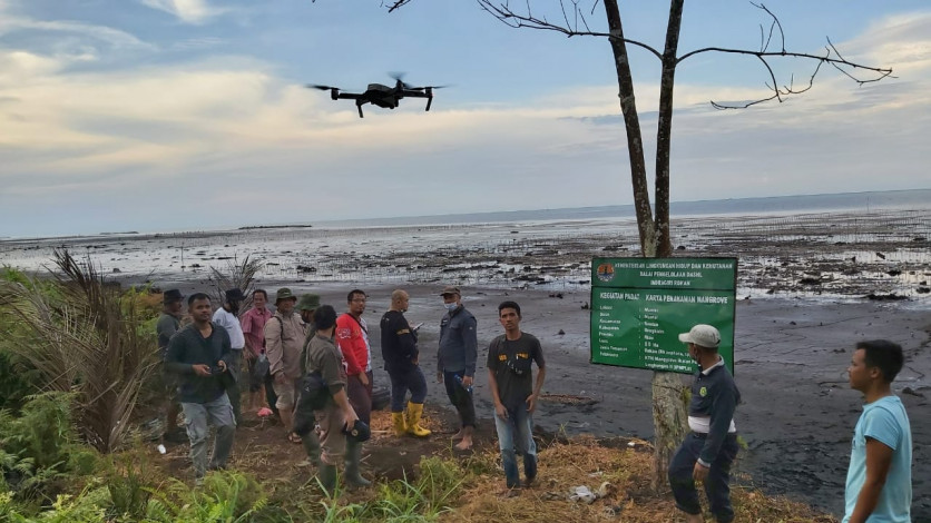 Keren! Masyarakat Gunakan CCTV dan Drone Pantau Program Mangrove
