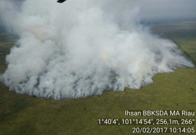 Titik Api Mulai Kepung Riau, Karhutla Jadi Ancaman Serius