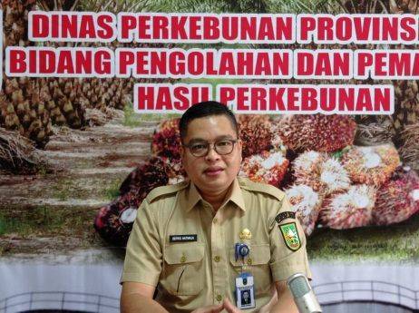 Pekan Ini Harga Komoditi Perkebunan di Riau Fluktuatif