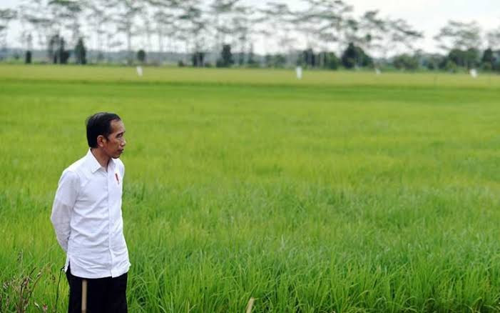 Jokowi Ungkap Sebenarnya Pemerintah Tidak Suka Impor Beras