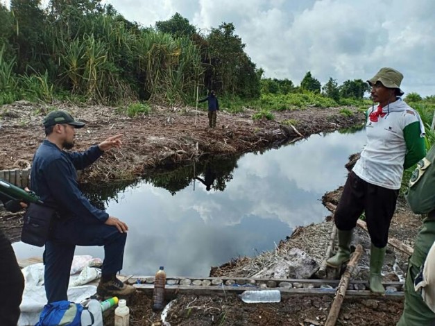 BBKSDA Riau Musnahkan Sawit di Kawasan Giam Siak Kecil