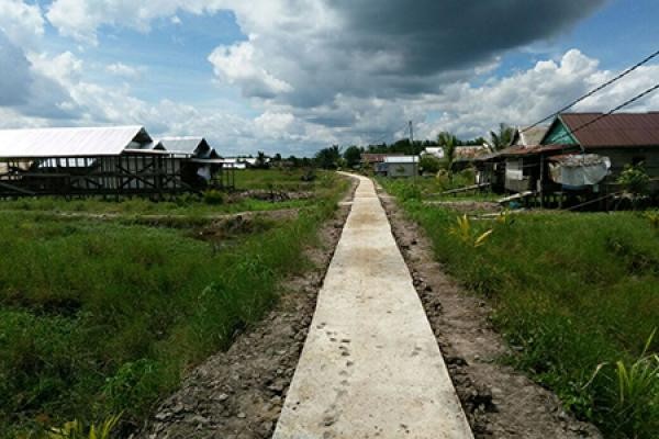 Kebun Kelapa Desa Makmur Jaya Inhil Tak Lagi Kena Abrasi
