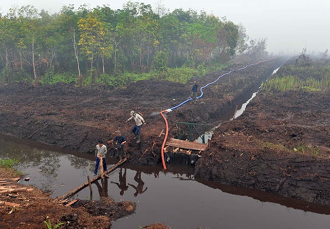 Bantuan Dana Pengelolaan Gambut Riau Rp49,5 Miliar Sedang Proses Pencairan