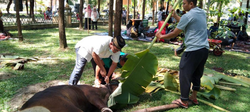 Akumulasi Tahun Lalu, Hewan Kurban DPRD Riau Tahun Ini Berjumlah 20 Ekor