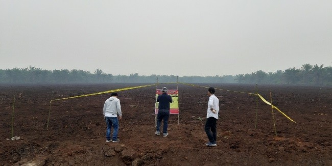 Lahan Terbakar, Polda Riau akan Panggil Manajemen PT Adei Plantation