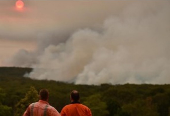 Hujan Tak Bantu Padamkan Api Karhutla Australia