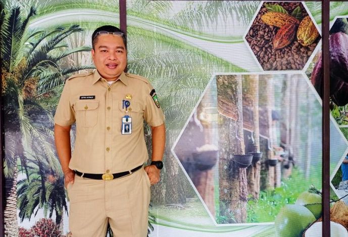 Pecah Rekor, Harga Sawit di Riau Tembus Rp 3.680,16 Perkilogram