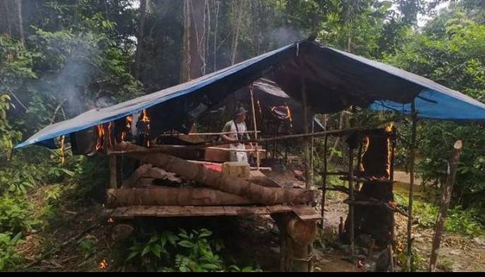 Patroli Kawasan Hutan, Tim BBKSDA Riau Temukan Pondok Illegal Logging