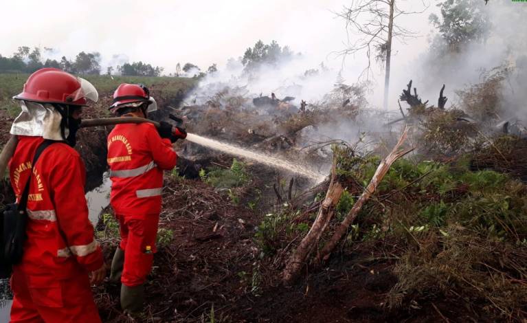Ada Lahan Terbakar di Dumai, Petugas Terpaksa Berlebaran di Lokasi Karhutla