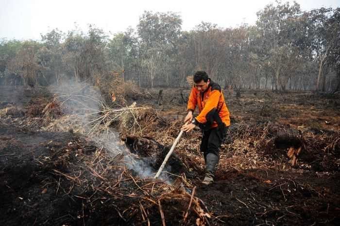 Riau Tolak PermenLHK Soal Pemulihan Ekosistem Gambut?