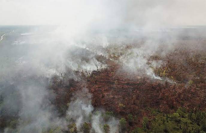 Karhutla di Riau sudah Padam, Hotspot Nihil Dua Hari Terakhir