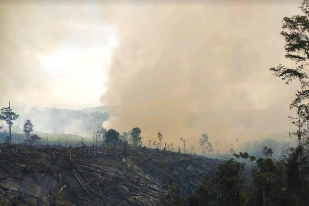 50 Kali Water Bombing, Kebakaran di Hutan Lindung Bukit Suligi Riau Belum Padam