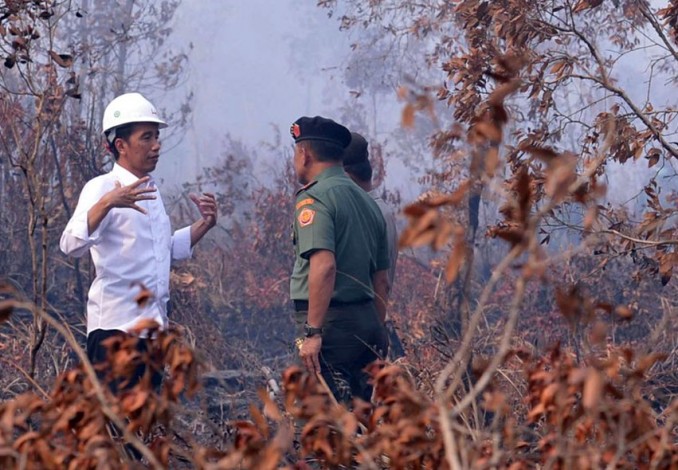 Jokowi Divonis Lakukan Perbuatan Melawan Hukum di Karhutla