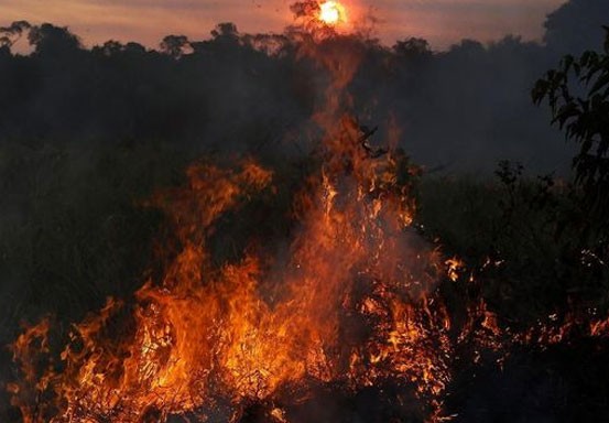 Kebakaran Parah Hutan Amazon Bisa Terlihat dari Luar Angkasa