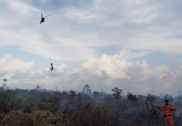 5.477 Hektare Hutan dan Lahan di Riau Terbakar
