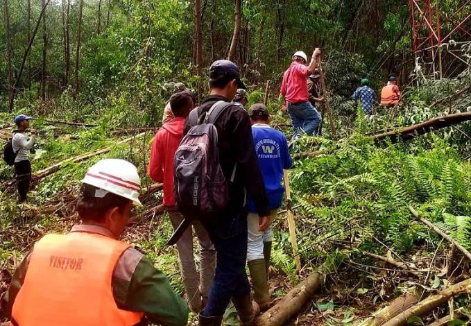 Buntut Warga Tewas Diterkam Harimau, Petugas BBKSDA Riau Pasang Perangkap
