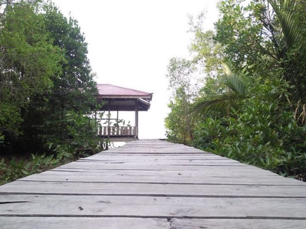 Pantai Beting dan Hutan Mangrove di Sungaiapit akan Jadi Destinasi Wisata Baru di Siak