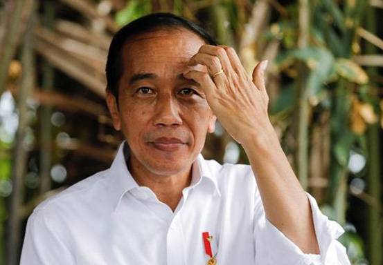Greenpeace soal MA Bebaskan Jokowi Terkait Karhutla: Gelap Sekali