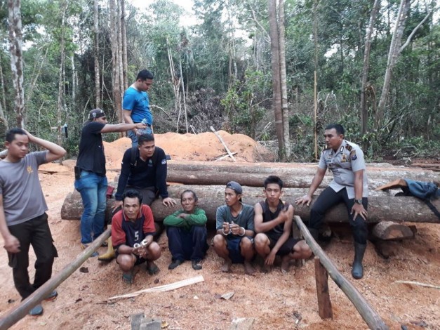 Olah Kayu di Hutan Lindung, Empat Penebang Diamankan Polisi