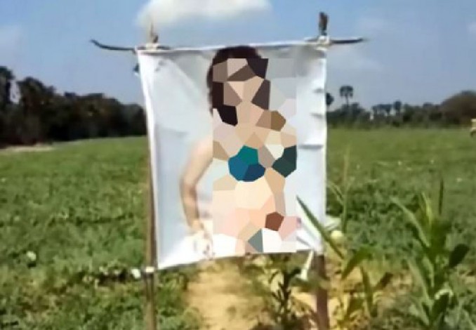 Agar Panennya Bagus, Petani Ini Pasang Poster Bintang Porno