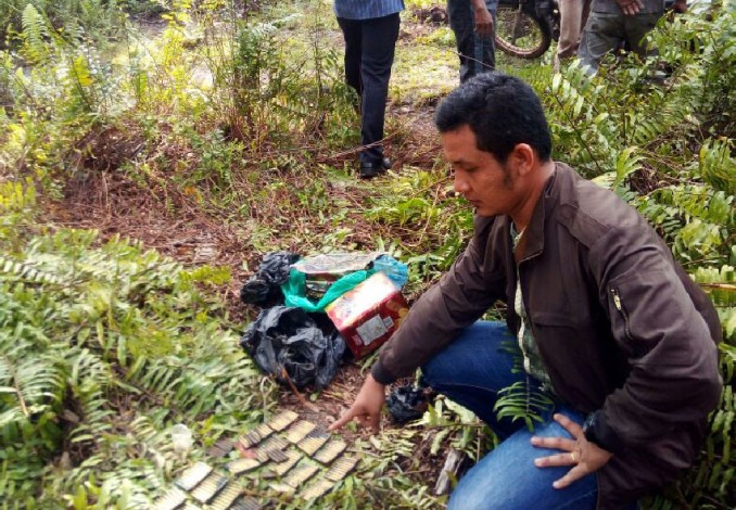 Warga Dikejutkan oleh Ratusan Peluru Aktif di Kebun Sawit Gurun Panjang