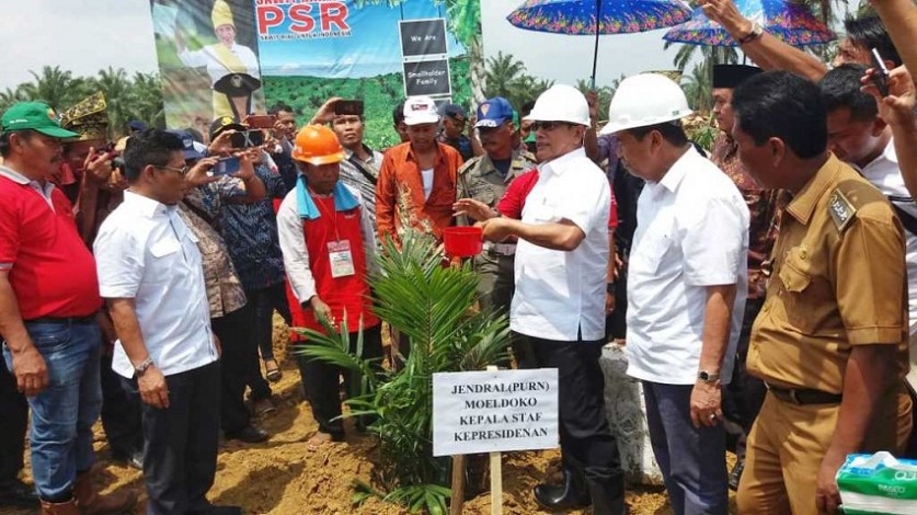 KSP Moeldoko Tanam Perdana Peremajaan Sawit Rakyat di Rohil Seluas 2.677 Hektar