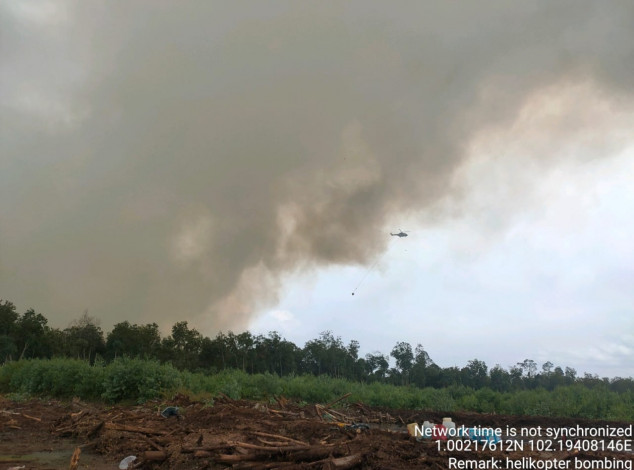 Api Muncul Lagi di Bunsur Siak, APP Sinar Mas Kerahkan Helikopter untuk Water Bombing