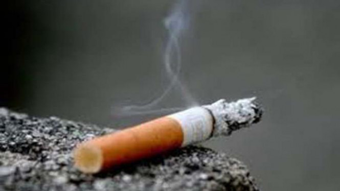 Musim Kemarau, Warga Pekanbaru Diingatkan Jangan Buang Puntung Rokok Sembarangan