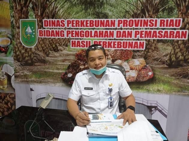 Berikut Harga Komoditi Perkebunan di Riau, Banyak yang Turun