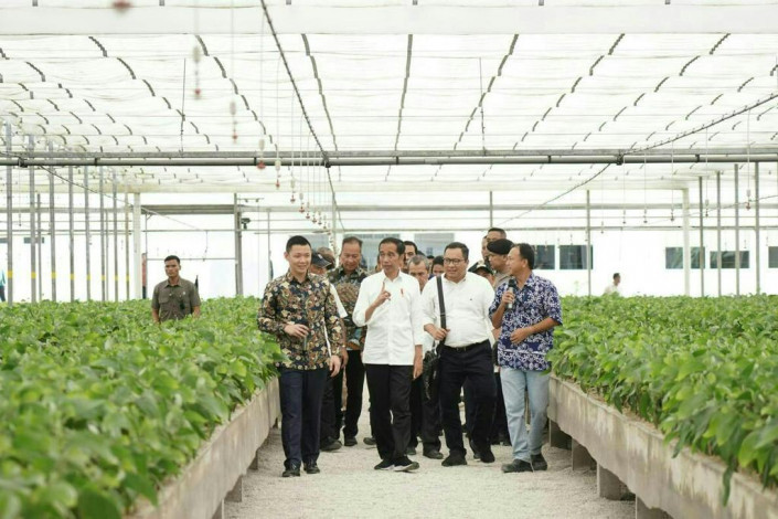 Dipuji Presiden, Teknologi Nursery PT RAPP Hasilkan Produk Ramah Lingkungan