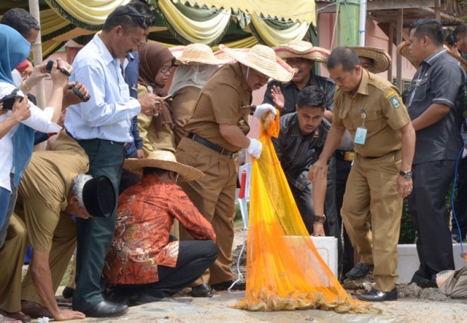 Budidaya Perikanan Air Payau Semakin Menggeliat di Bengkalis